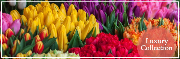 Luxury Flower Delivery Kuwait