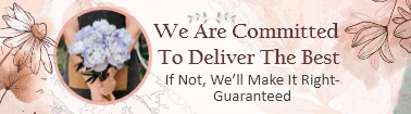We are commited to Deliver the best