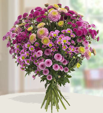 Bunch of 7 stems of Pink and 7 stems of Purple Chrysanthemums in nice wrapping. Last Goodbye